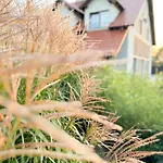 Tulipanowy Gosciniec Jantar