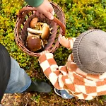 Bed & Breakfast Tulipanowy Gosciniec 3*