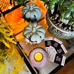 Tulipanowy Gosciniec Bed & Breakfast 3*