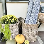 Bed & Breakfast Tulipanowy Gosciniec Jantar