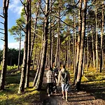 Tulipanowy Gosciniec Bed & Breakfast