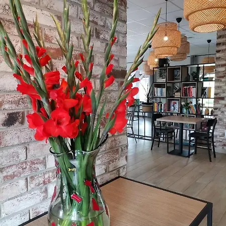 Tulipanowy Gosciniec 3* 詹塔尔