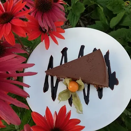 住宿加早餐酒店 Tulipanowy Gosciniec 詹塔尔