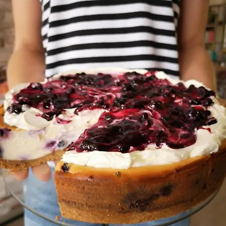 住宿加早餐酒店 Tulipanowy Gosciniec