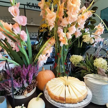 Bed & Breakfast Tulipanowy Gosciniec *