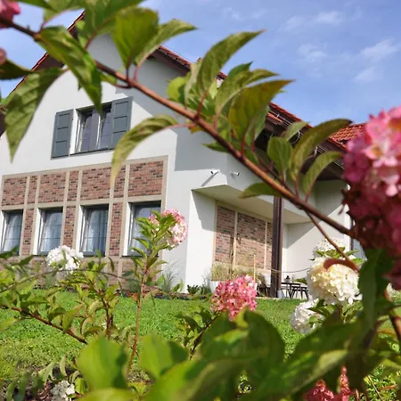 Bed & Breakfast Tulipanowy Gosciniec