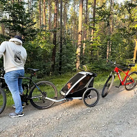 Tulipanowy Gosciniec 3* Jantar