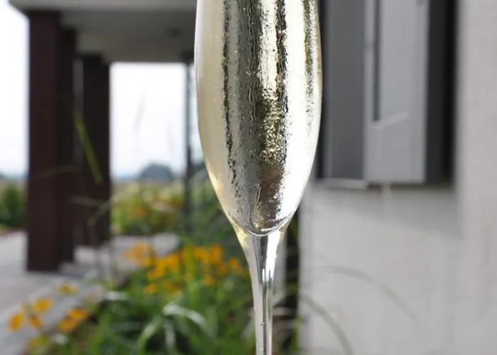 Bed & Breakfast Tulipanowy Gosciniec 3*