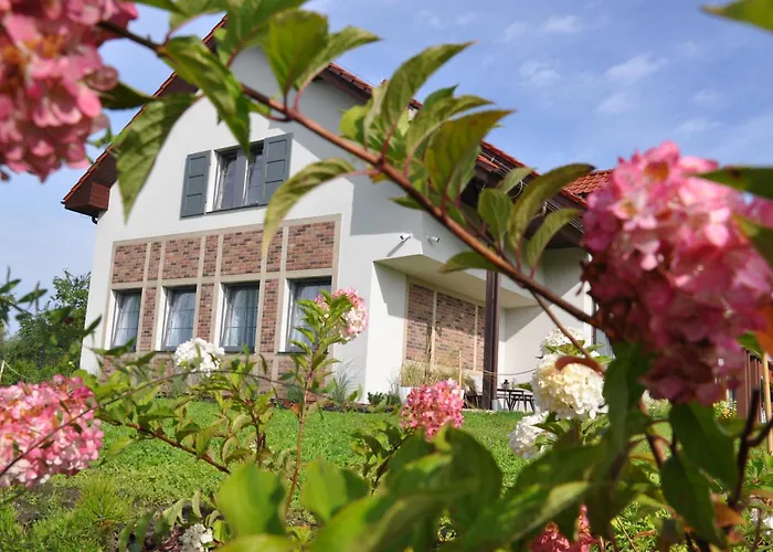 Bed & Breakfast Tulipanowy Gosciniec