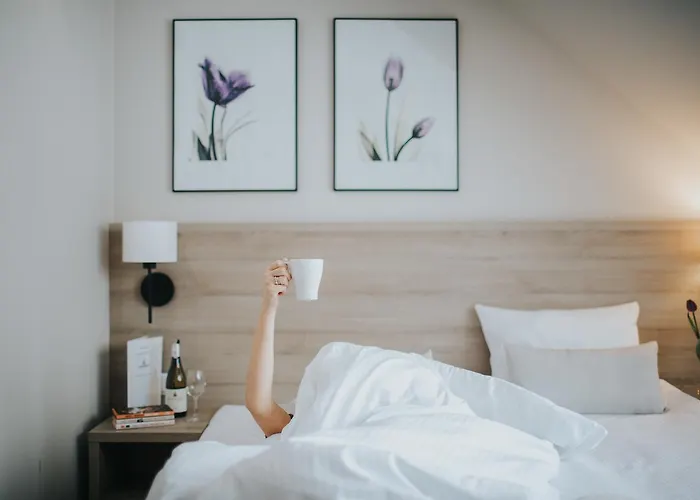 Tulipanowy Gosciniec Bed & Breakfast