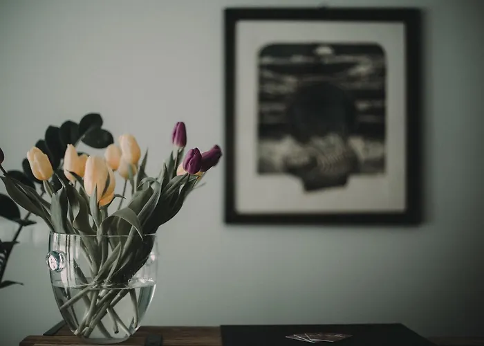 Tulipanowy Gosciniec 3*